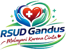 Logo RSUD Gandus